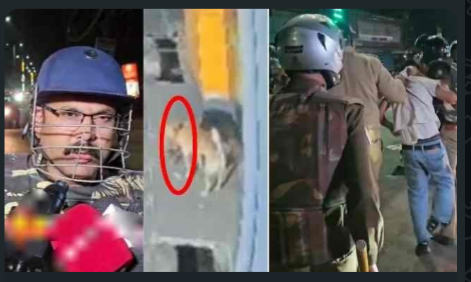 “हल्द्वानी में संदिग्ध मांस मिलने के बाद तनाव, पुलिस जांच में पाया गया कि कुत्ते ने जंगल से अवशेष लाया”