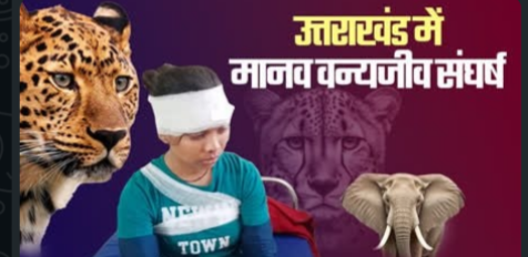 “उत्तराखंड की घाटियों में बढ़ता वन्यजीव संकट: इंसान और जंगल के बीच संघर्ष की गंभीर तस्वीर”